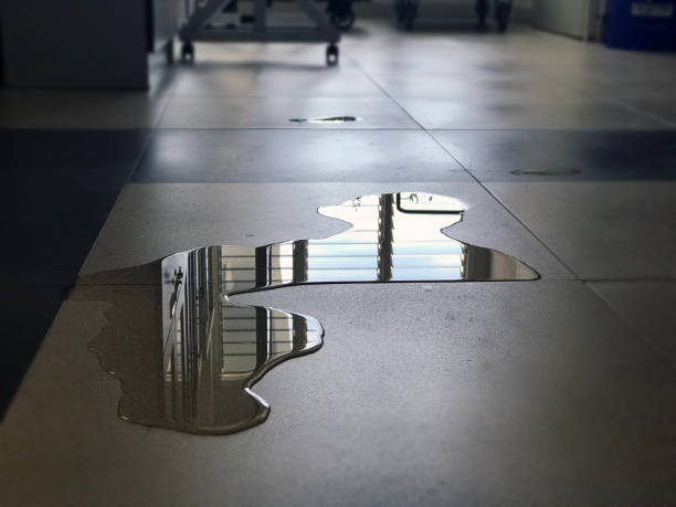 Best Commercial water damage restoration  in Gordon, NE